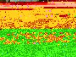 HBPO5.jpg