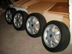 S5000262.JPG