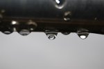 DSC_0003.JPG