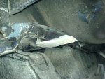 DSC00459.JPG