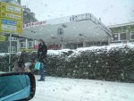 DSC00174.JPG