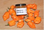Habanero.JPG
