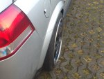 DSC_1672.JPG