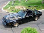 81 Pontiac Trans Am Firebird Turbo.JPG