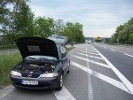 100_2721.JPG