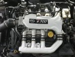 Vectra2012-2.jpg Vectra2012-2.jpg