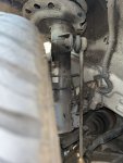 IMG_2215.jpeg