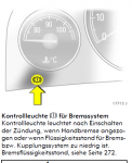 Kontrolleleuchte .png