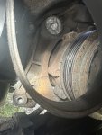 IMG_3757.jpeg