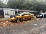 IMG_9896.jpeg