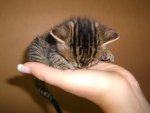 100_0491.JPG