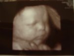 Baby 003.jpg