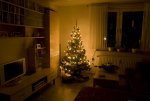 Weihnachtsbaum (1 von 1) Kopie.jpg
