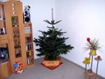 Baum Nackig.jpg