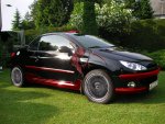 Peugeot 206 CC Customize.jpg