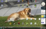 desktop.jpg