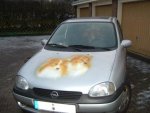 corsa_airbrush.JPG