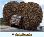 autopixx-de-1127064536-45..jpg