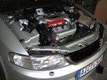 IMG_0374.JPG