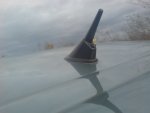 DSC00564.JPG