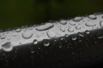 DSC_0004.JPG