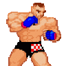 CroCop