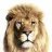 Crazylion