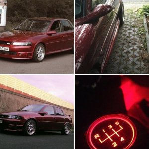 Red Vecci