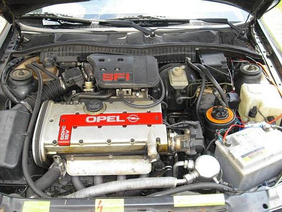 calibra 6