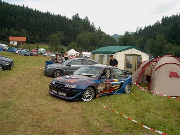 Grein2005